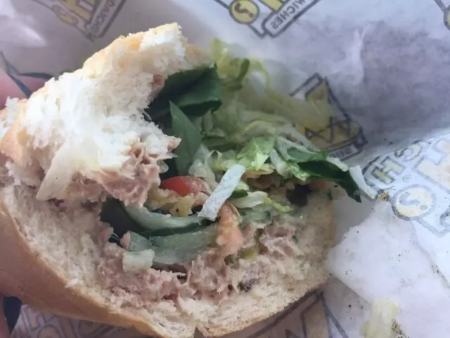Which Wich