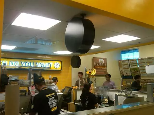Which Wich