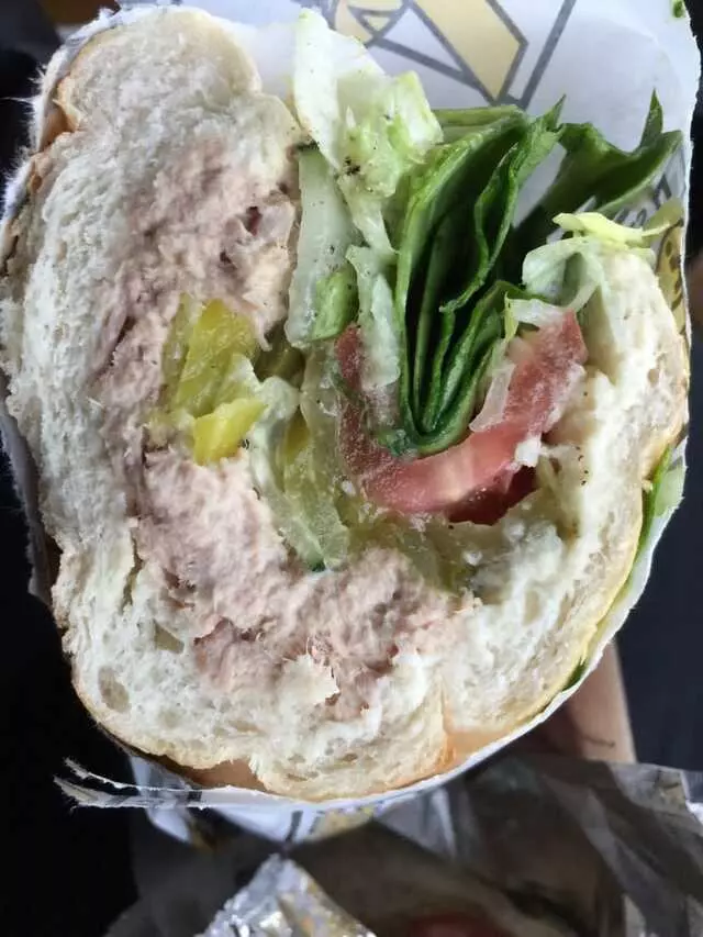 Which Wich