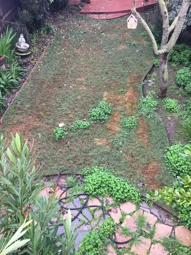 Serrano Landscaping