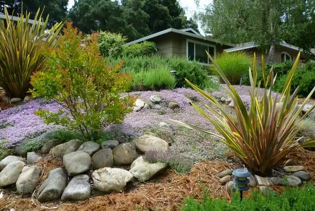 Bay Garden