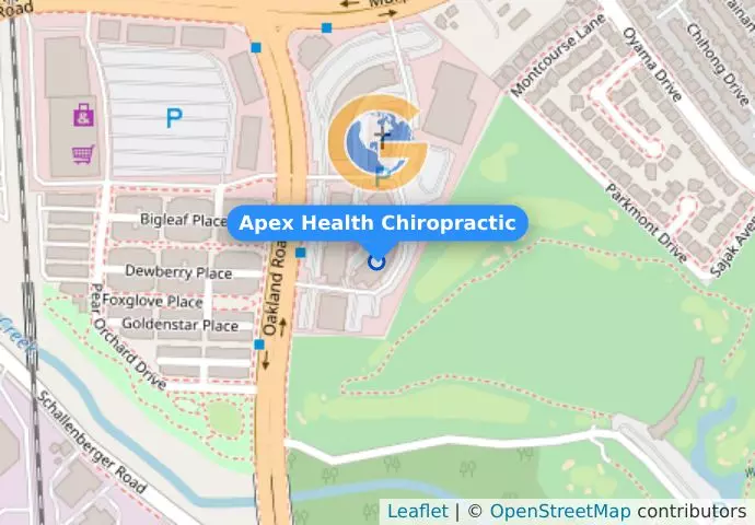 Apex Health Chiropractic
