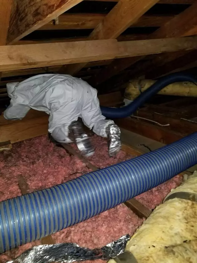 Attic 911 Services
