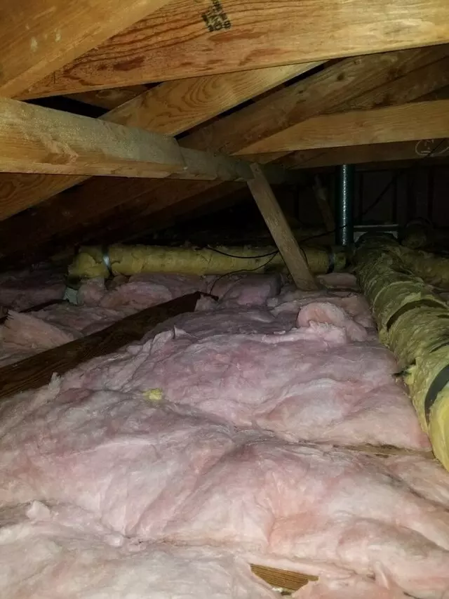 Attic 911 Services
