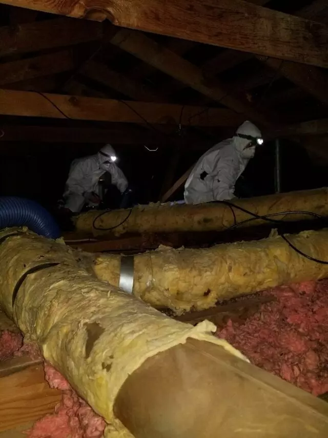 Attic 911 Services