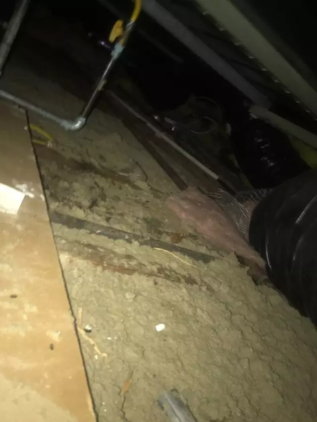 Attic 911 Services