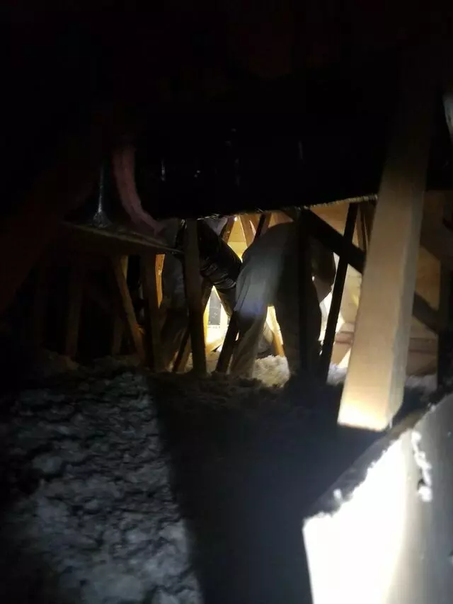 Attic 911 Services