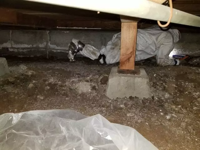 Attic 911 Services