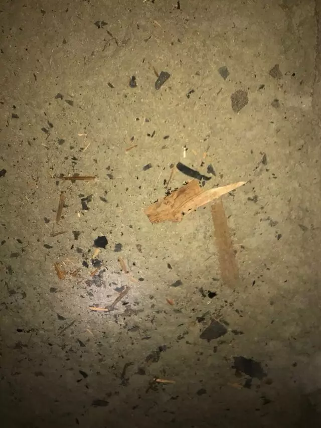 Attic 911 Services