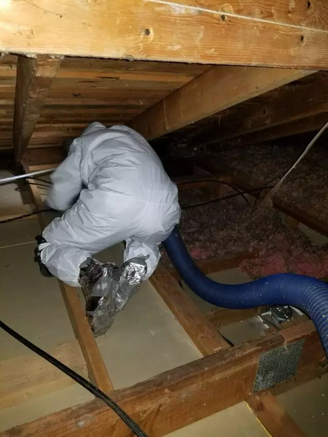 Attic 911 Services