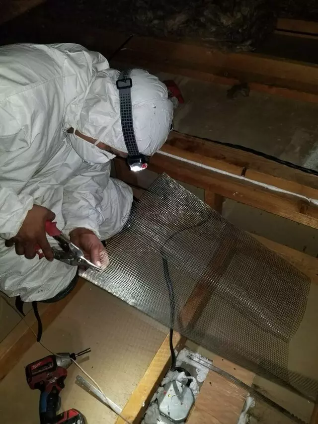 Attic 911 Services