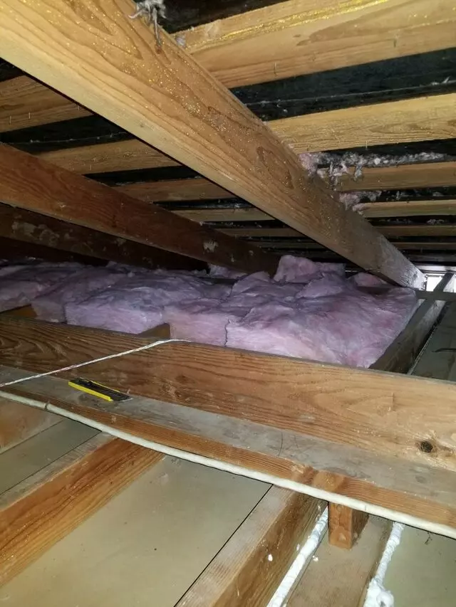 Attic 911 Services