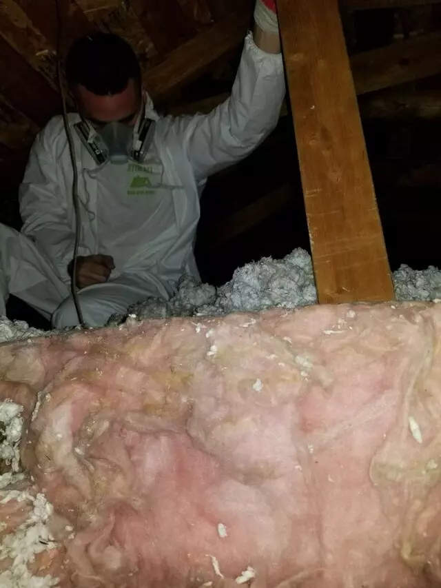 Attic 911 Services