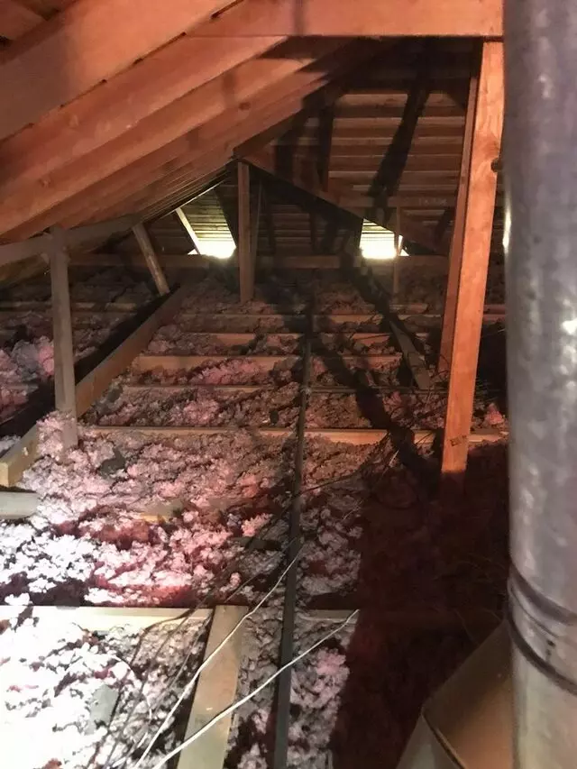 Attic 911 Services