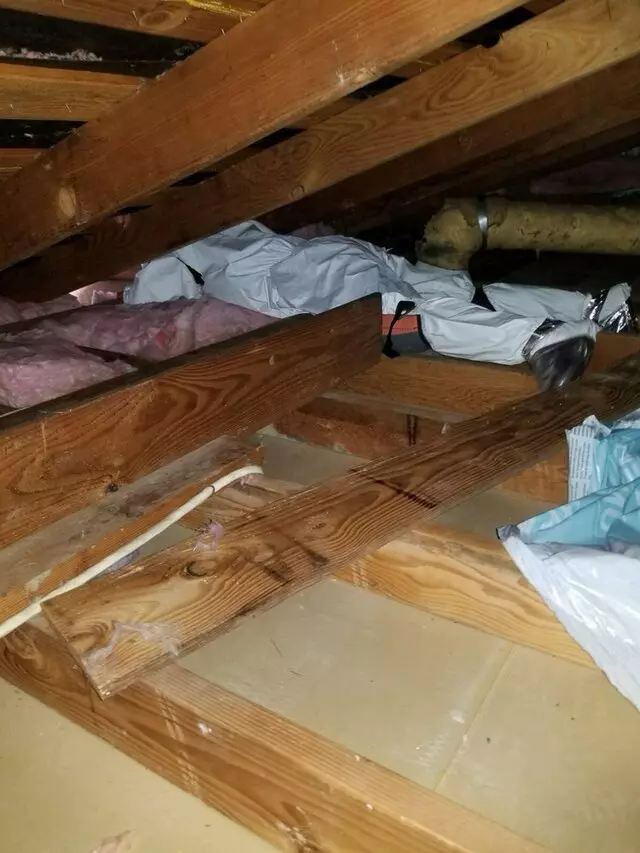 Attic 911 Services
