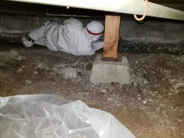 Attic 911 Services