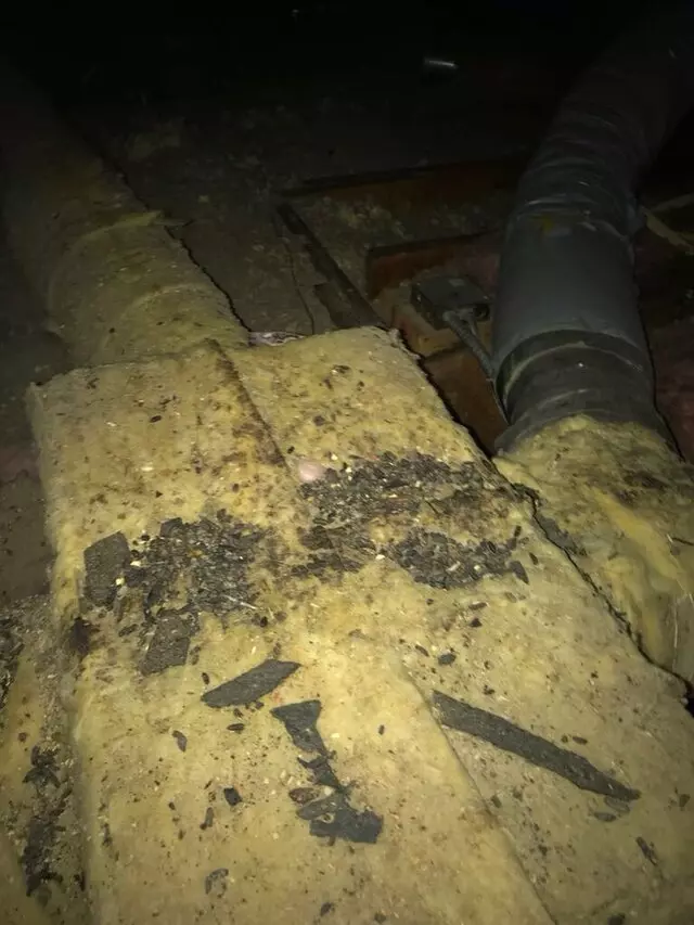 Attic 911 Services