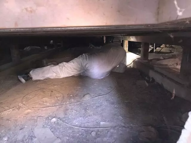 Attic 911 Services