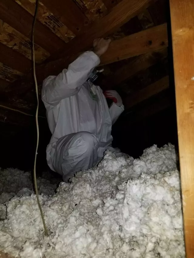 Attic 911 Services