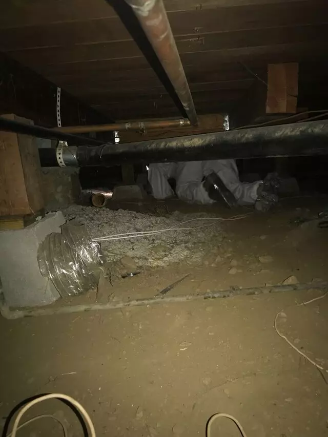 Attic 911 Services