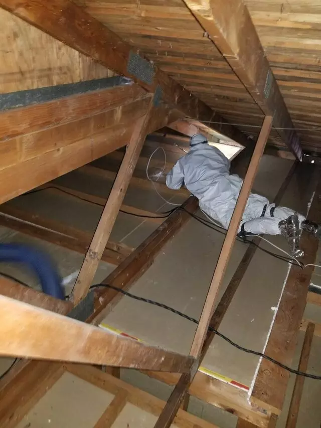 Attic 911 Services