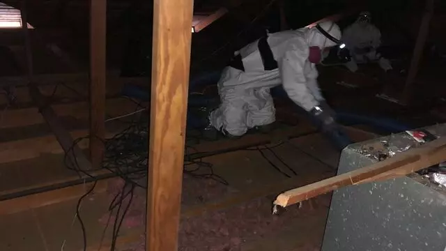 Attic 911 Services