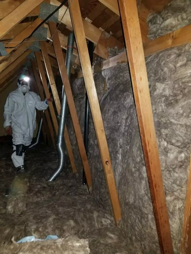 Attic 911 Services