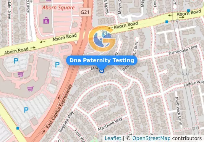 Dna Paternity Testing