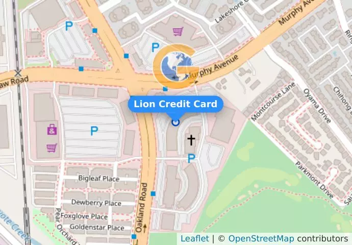 Lion Credit Card