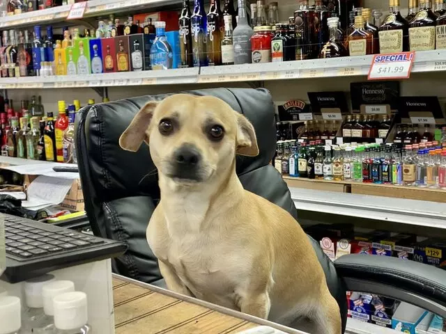 Choice Liquors