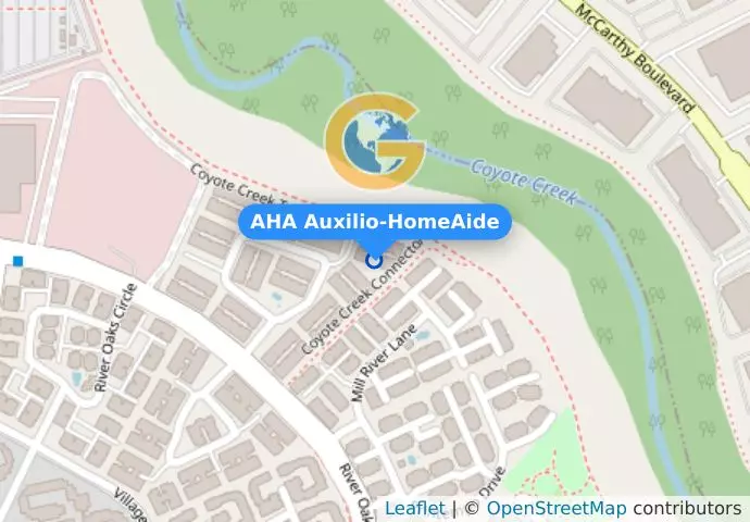 AHA Auxilio-HomeAide