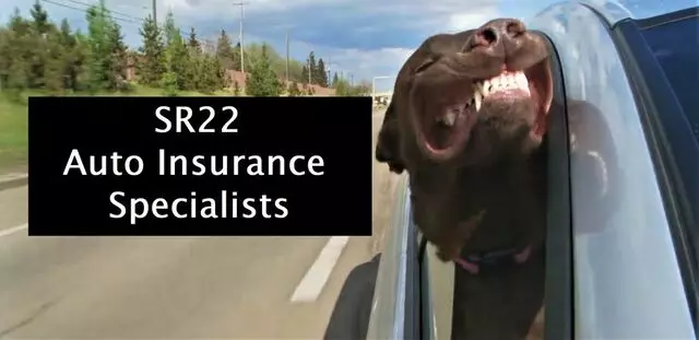 Guardian Direct Insurance