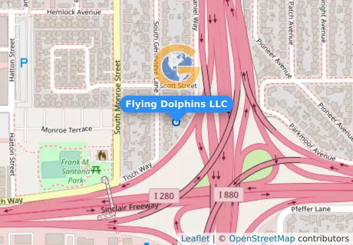 Flying Dolphins LLC