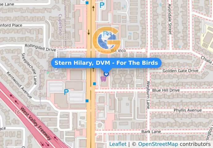 Stern Hilary, DVM - For The Birds