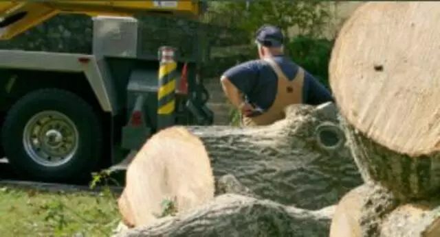 Arbortek Trees