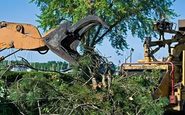 Arbortek Trees
