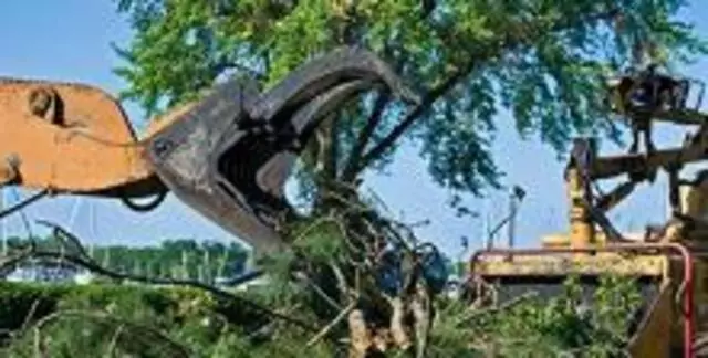 Arbortek Trees