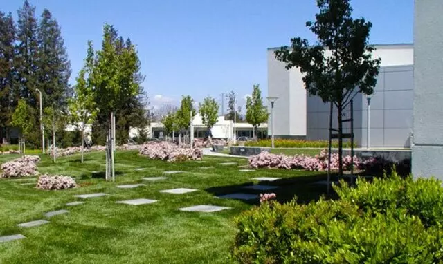 Arbortek Trees