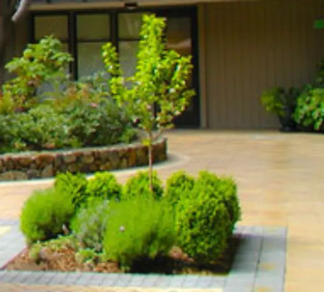 Arbortek Trees