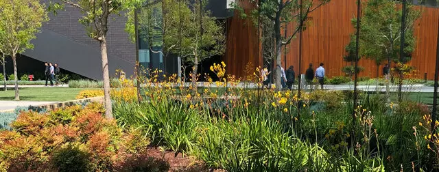 Arbortek Trees