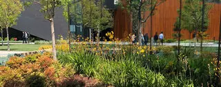 Arbortek Trees