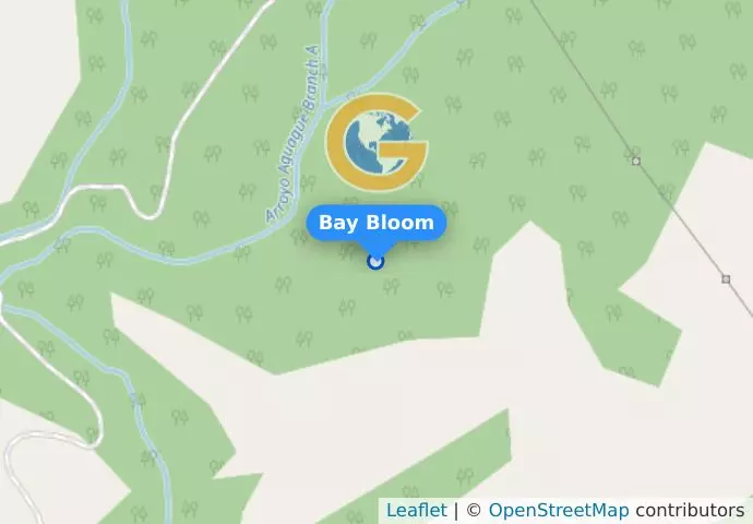 Bay Bloom