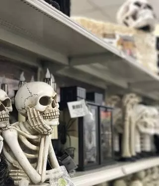 Michaels - San Jose