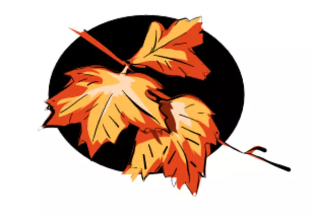 Arborist Onsite