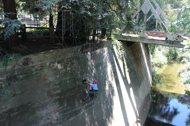 Arborist Onsite