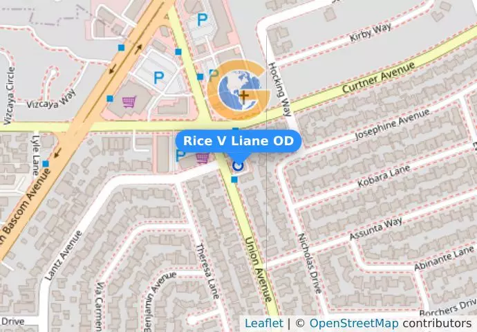 Rice V Liane OD