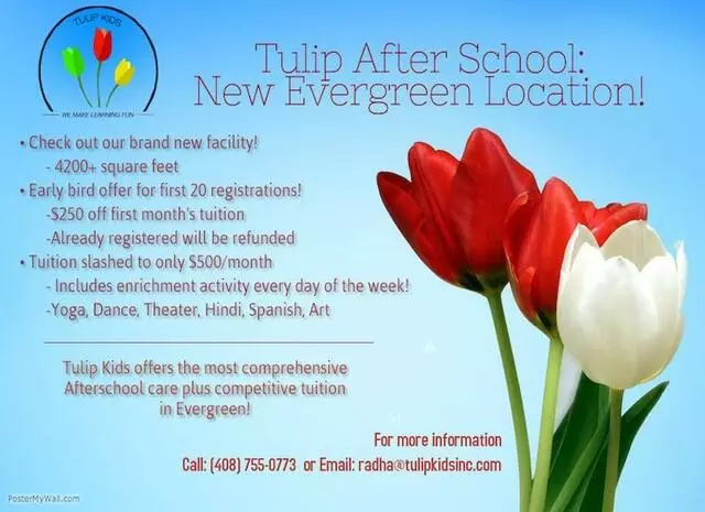 Tulip After School Evergreen