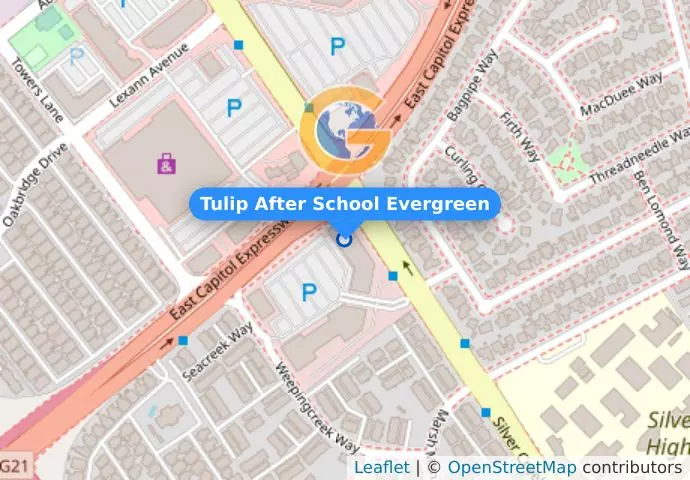 Tulip After School Evergreen