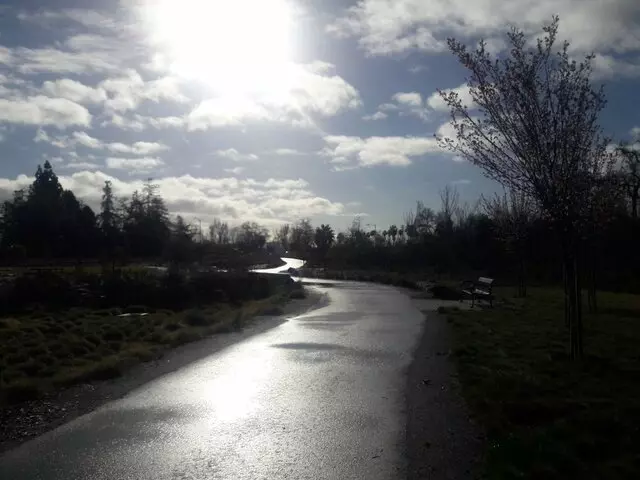 Orchard Park
