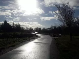 Orchard Park